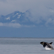 Image: Kenai Fjords National Park /Jim Pfeiffenberger via Flickr